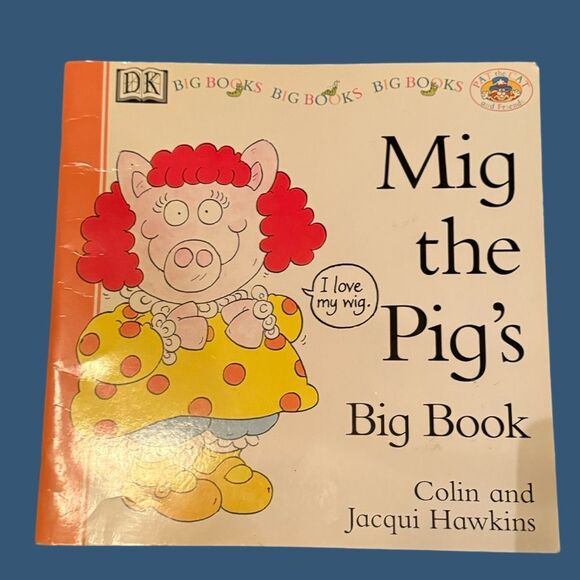 Set of 5 DK Big Books Vowel Sounds Classroom Book Pat Cat Zug Bug Tog Dog 14” - Picture 7 of 14